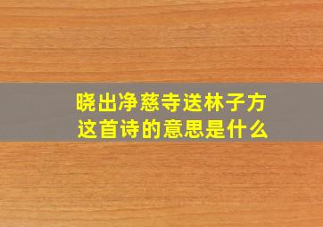 晓出净慈寺送林子方 这首诗的意思是什么